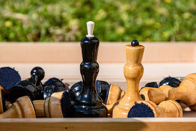 范佩西首次征召儿子进入费耶诺德比赛名单，但并未安排他出场